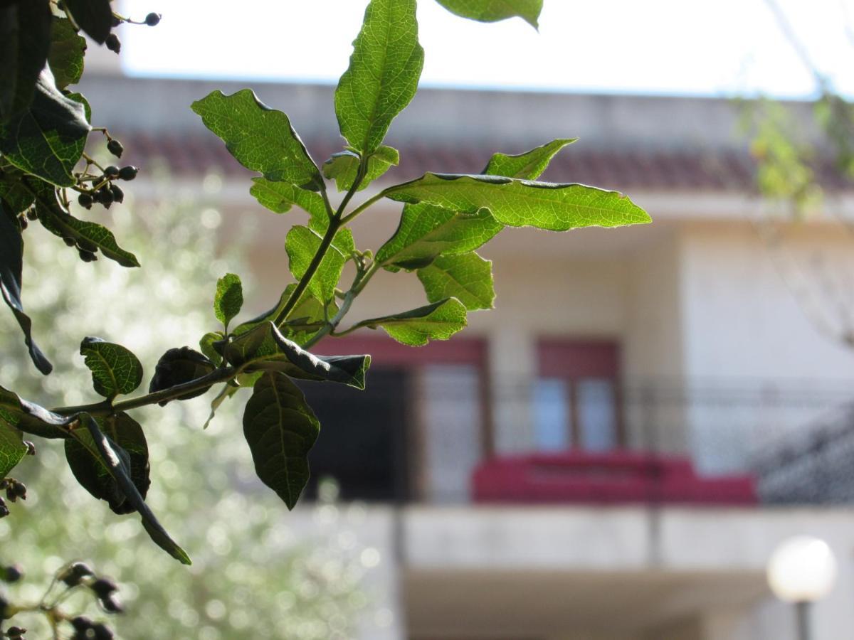 Casa Il Giovane Alloro Martina Franca Dış mekan fotoğraf